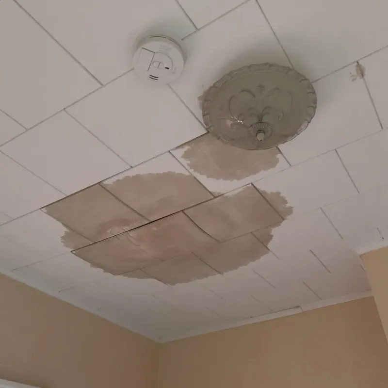 Ceiling Water Damage Repair in Stratford, CA