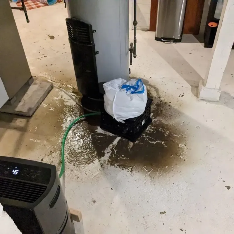 Sewage Backup Cleanup Service in Stratford, CA